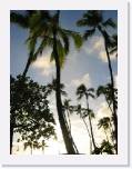 IMG_0093 * 480 x 640 * (286KB)