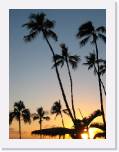 IMG_0098 * 480 x 640 * (225KB)