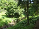 kauai 058 * 640 x 480 * (373KB)