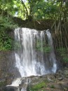kauai 093 * 480 x 640 * (309KB)