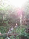 kauai 101 * 480 x 640 * (263KB)