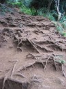kauai 128 * 480 x 640 * (346KB)